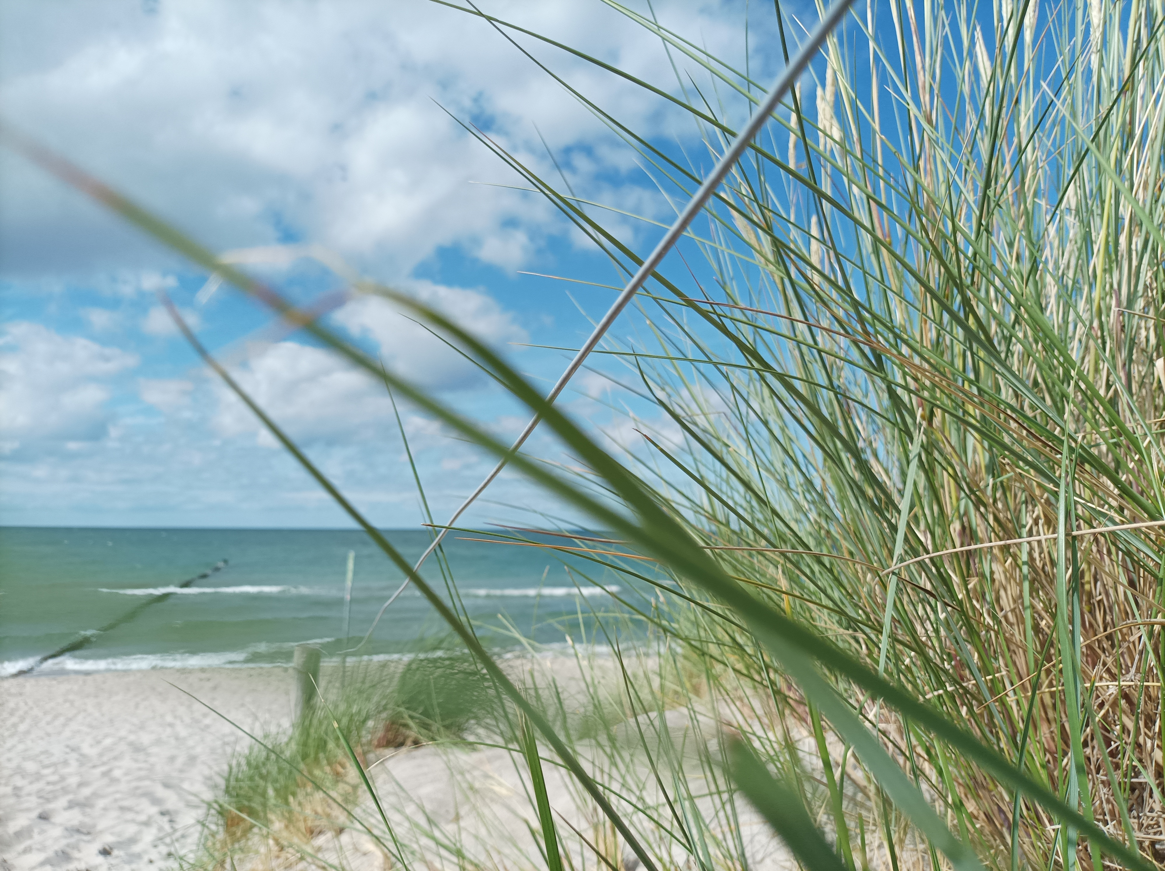 Ostseestrand und Dünen in Zingst